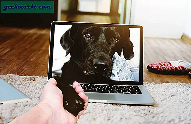 Android ve iOS için En İyi 5 Evcil Hayvan İzleme Uygulaması